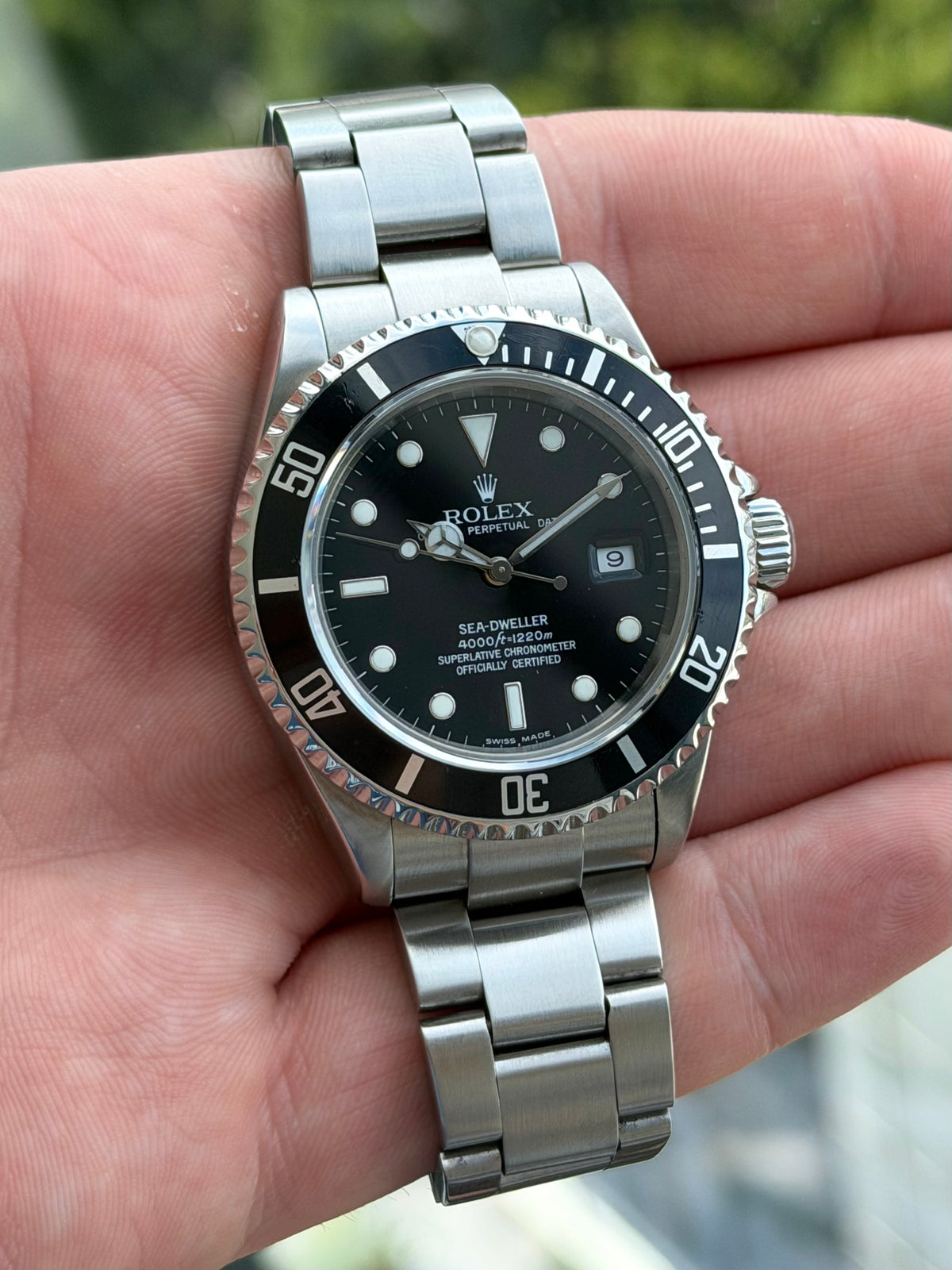 Rolex Sea-Dweller 16600 Full Collectors Set 2005