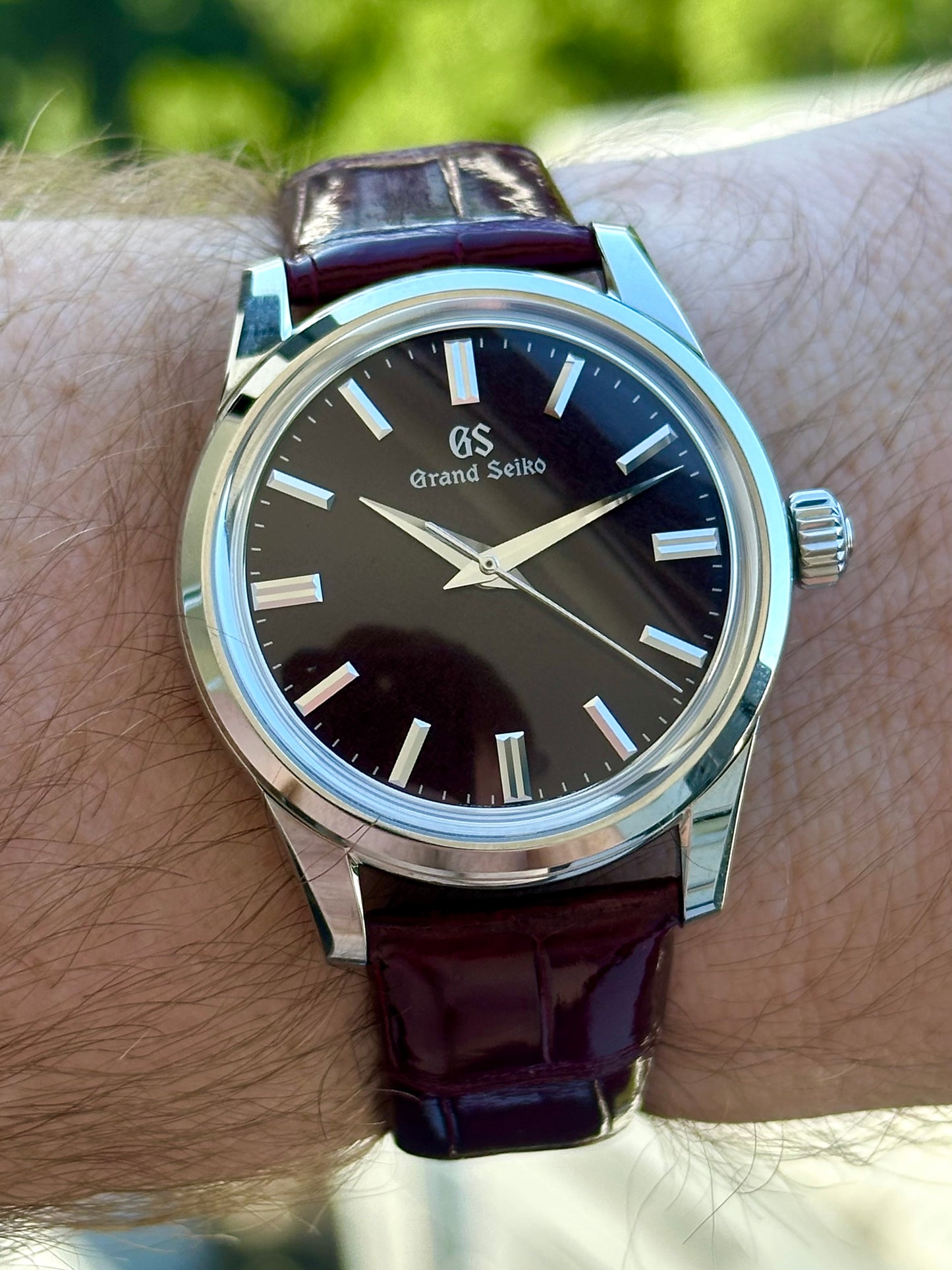 Grand Seiko Burgundy Dial Elegance Collection SBGW287 Full Set 2024