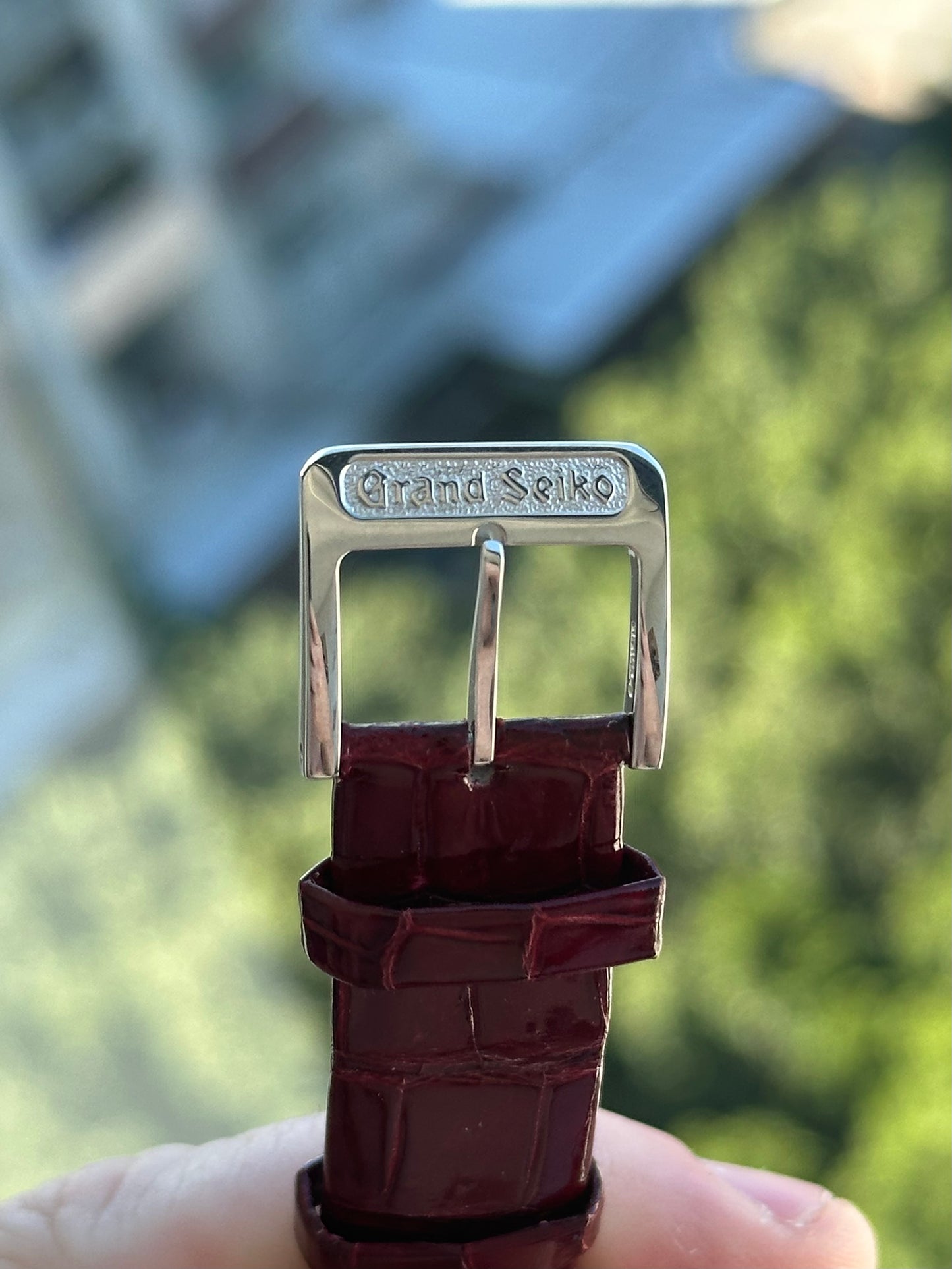 Grand Seiko Burgundy Dial Elegance Collection SBGW287 Full Set 2024