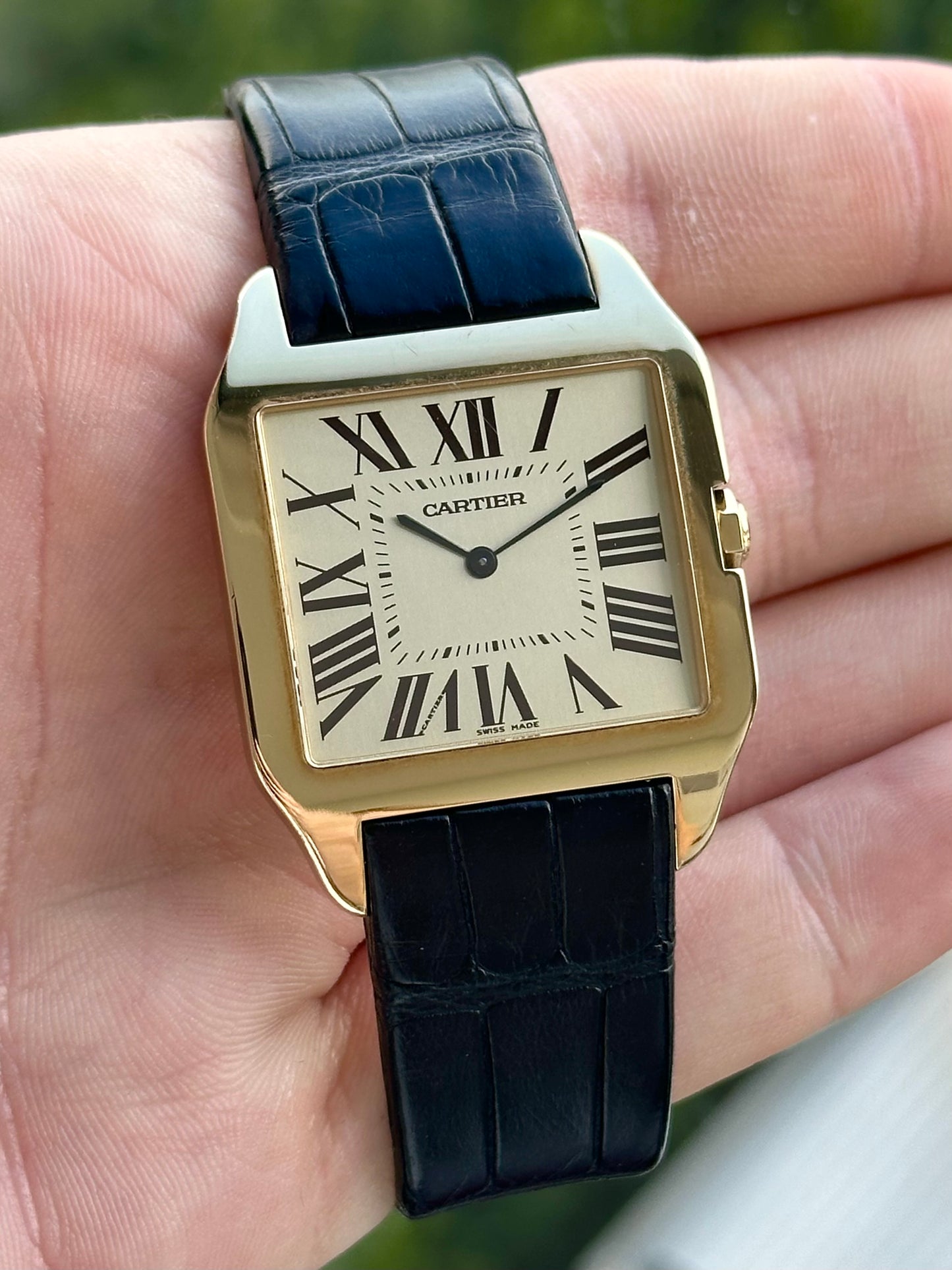 Cartier Santos Dumont W2006851 Full Set