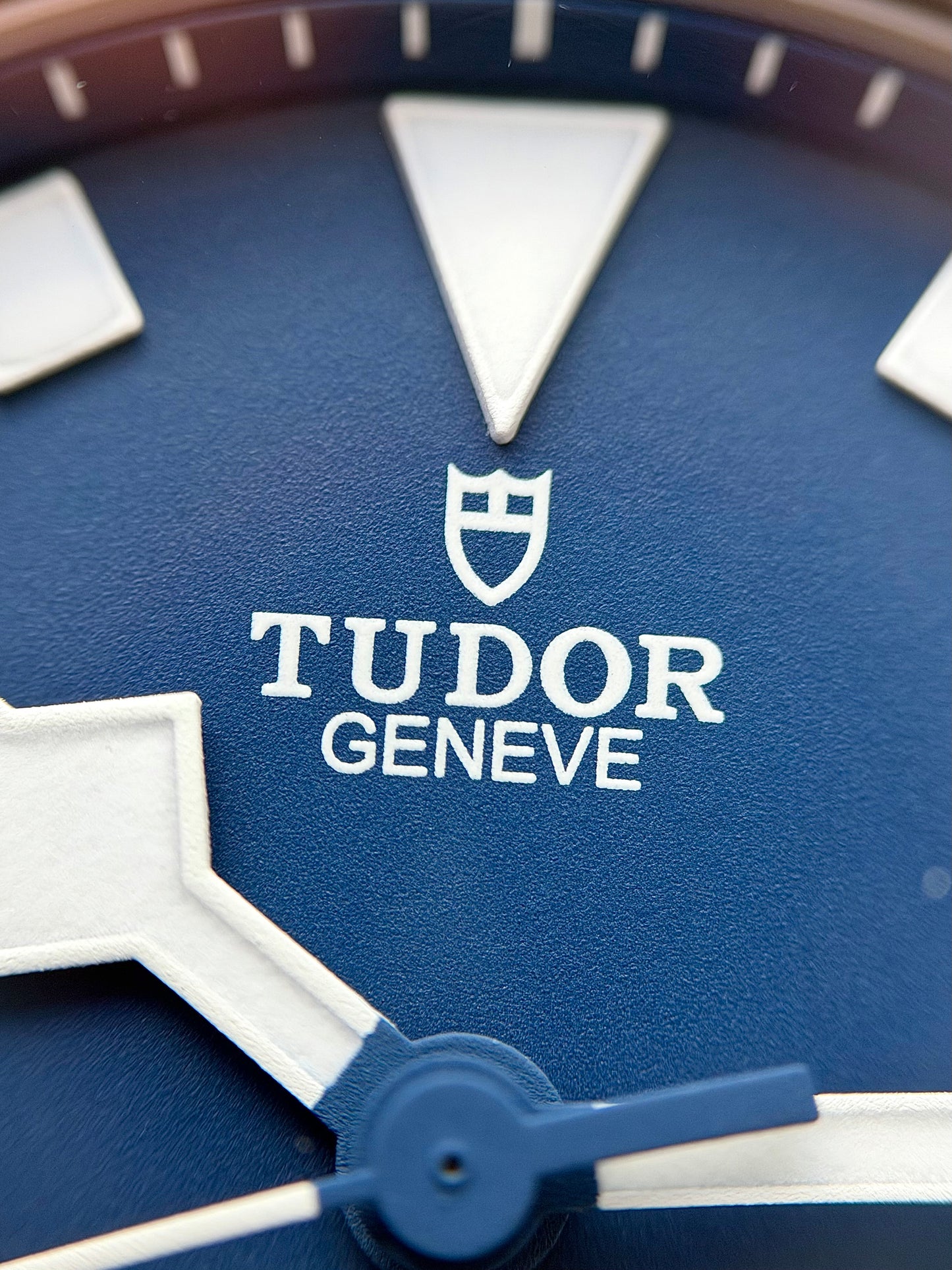 Tudor Pelagos FXD Titanium Full Set 2024