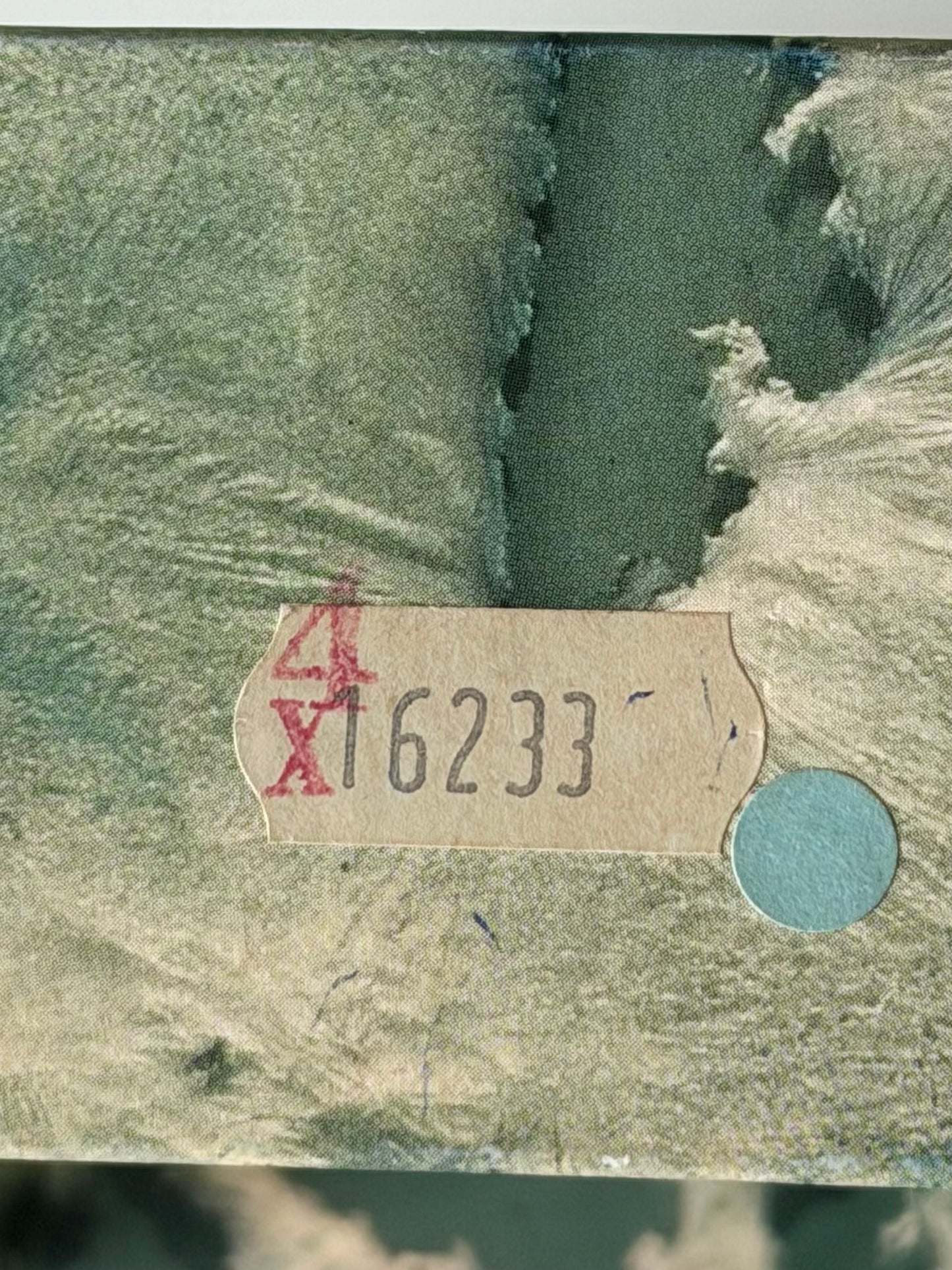 Rolex Datejust Arabic Numeral Computer Dial 1979