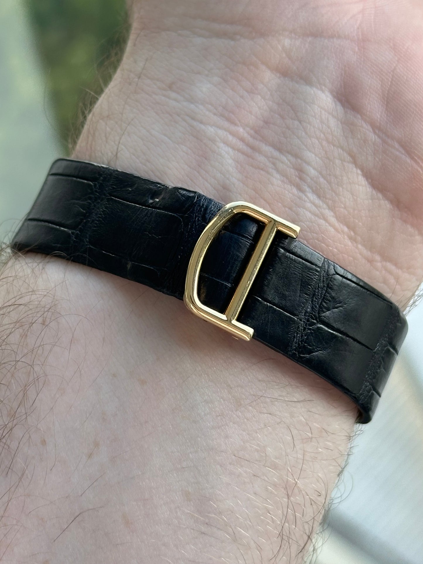 Cartier Santos Dumont W2006851 Full Set